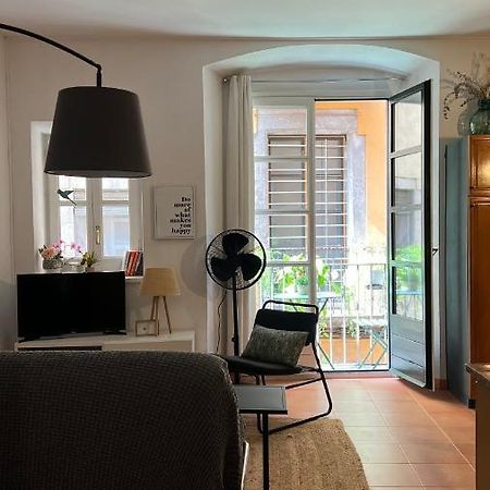 Apartamento Con Encanto Y Terraza En Barri Vell De Girona, El Cul De La Lleona Apartment Ngoại thất bức ảnh