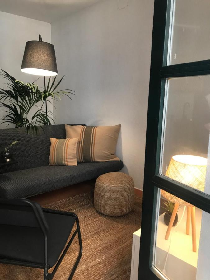 Apartamento Con Encanto Y Terraza En Barri Vell De Girona, El Cul De La Lleona Apartment Ngoại thất bức ảnh